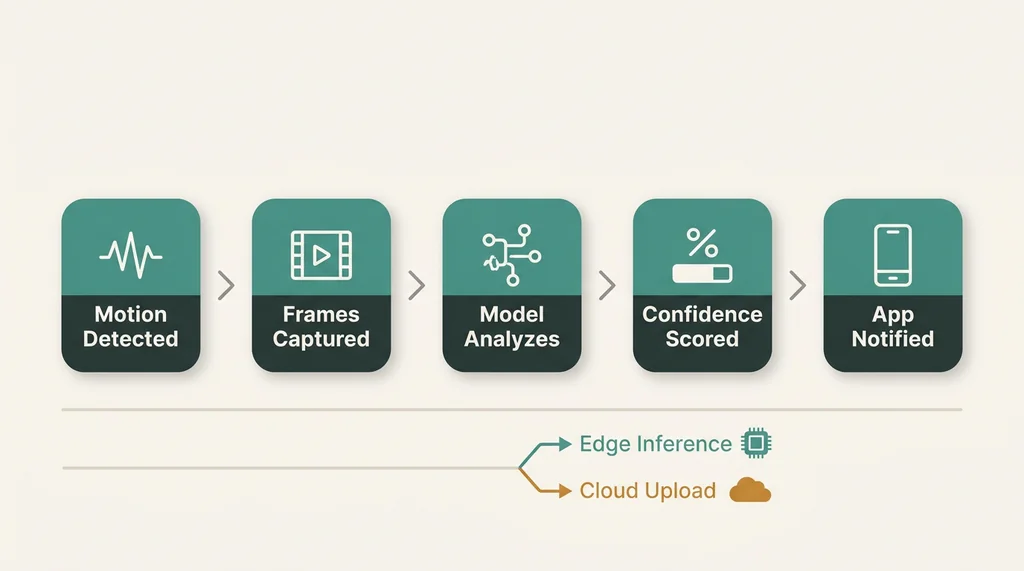 Flowchart diagram showing five steps of AI bird feeder identification from motion detection to app notification