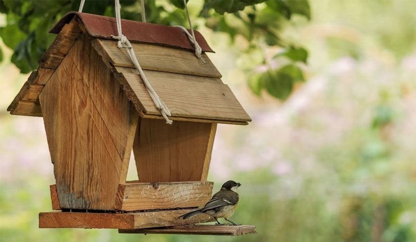 Wooden Bird Feeder Selection Bird Feeders