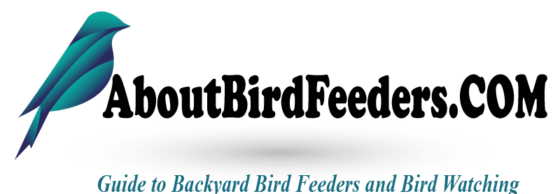 About Bird Feeders